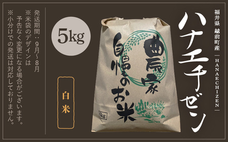 【新米・先行予約】旨いご飯！お米 ハナエチゼン 5kg 「白米」 令和6年 福井県産【米 はなえちぜん 華越前 人気品種 ブランド米 5キロ 精米 白米 玄米  5ぶづき米 おにぎり うまい ぶつき米