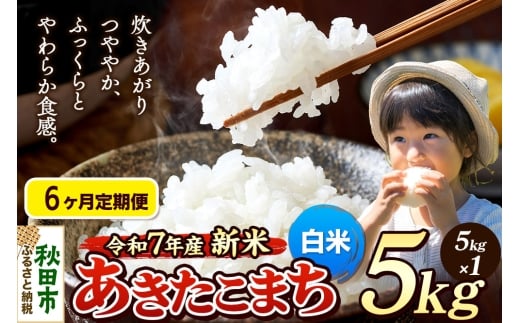 《令和7年産 新米先行受付》《定期便6ヶ月》 米 あきたこまち 5kg 【白米】 秋田県産