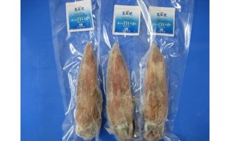 【便利な個包装】高級朝どれ白いか丸ごと3本セット【ぜひお刺身で！】母の日 父の日