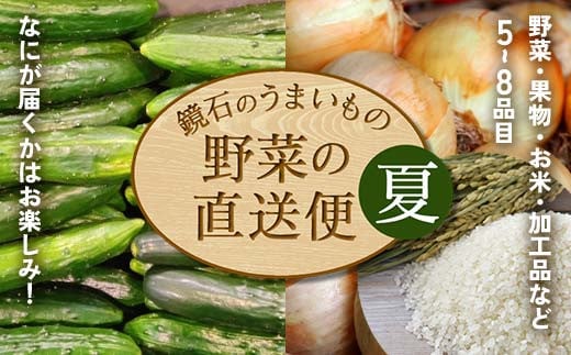 鏡石のうまいもの野菜の直送便（夏）果物 詰め合わせ つめ合わせ セット 福島県 鏡石町 F6Q-134