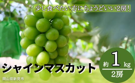 林農園 シャインマスカット 約1kg 2房 【先行予約 2026年10月上旬から順次発送】