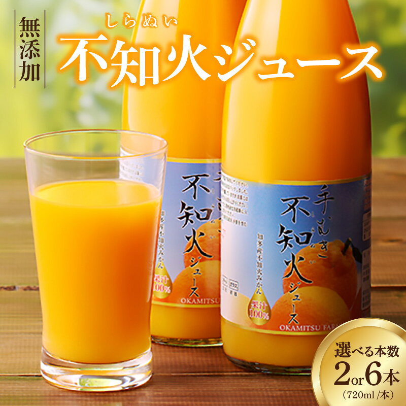【ふるさと納税】知多市産 不知火ジュース【本数を選択！2本・6本 】 果汁100% 果汁飲料 柑橘 ジュース ミカンジュース しらぬい オレンジジュース 愛知県 特産品 送料無料