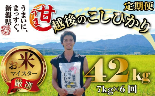 【令和6年産】 新米 コシヒカリ 定期便 7kg 6ヵ月 42kg 甘うま越後のこしひかり 越後 えちご  特別栽培米 新潟 コメ こめ お米 米 しんまい 新潟県 新潟米 新発田市 新発田産