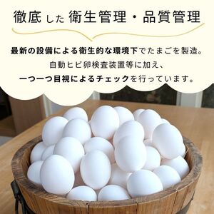 【定期便9回】九十九里ファームこだわりたまご贈答用30個～あおい海・みどりの里～《白玉》 ／ たまご 卵 玉子 タマゴ 生卵 鶏卵 30個 定期便