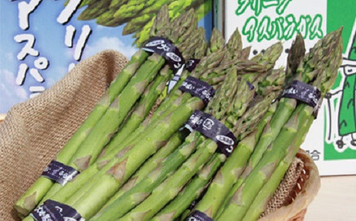 
                  グリーンアスパラ　秀L～M　1.5㎏　バラ
                