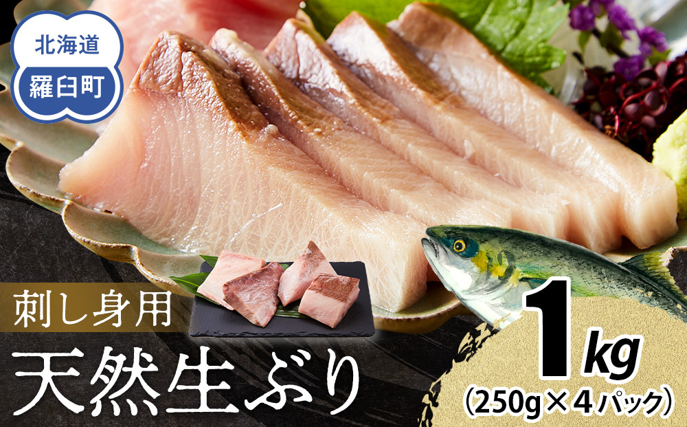 【2025年12月発送】北海道 知床羅臼産 天然ぶり刺身 1kg (250g×4パック) 魚 海産物 魚介 魚介類 ブリ 鰤 刺身 ご飯のお供 冷凍 生産者 支援 応援 016942_AA067VC12