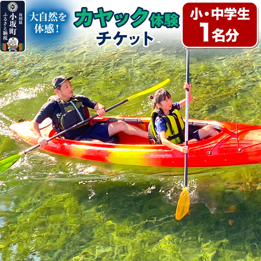 【ふるさと納税】カヤック体験チケット 小・中学生 1名分 体験 アクティビティ 秋田県 小坂町