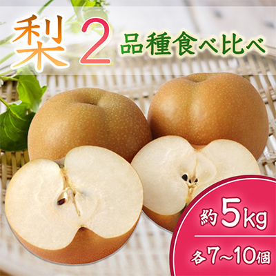 
            ＜2025年8月より順次発送予定＞梨2品種食べ比べ　各7～10個約5kg(県内共通返礼品:石岡市産) (BR048)
          
