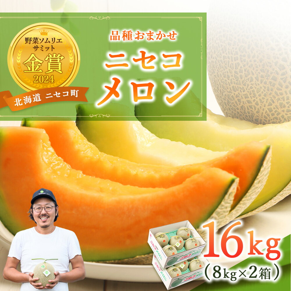 【ふるさと納税】《2026年分受付中》糖度13度以上!市場には出回らない北海道ニセコメロン8～12玉（1箱8kg×2箱）/高橋農園【3700401】