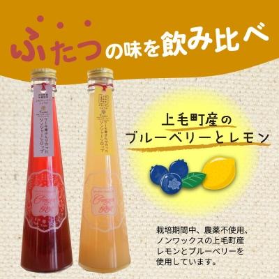 ふるさと納税 上毛町 【上毛町産ブルーベリー&レモン使用】ジンジャーシロップ2本セット |  | 01