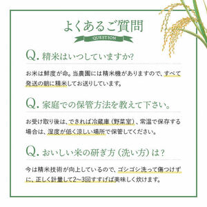 【新米予約】2024年産　久保農園　ゆめぴりか玄米　11.5kg