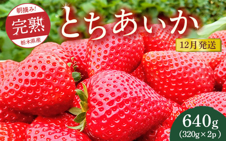【先行予約】【12月発送】朝摘み！完熟とちあいか 640g（320g×2p）　※離島への配送不可　※2025年12月上旬～12月下旬頃に順次発送予定