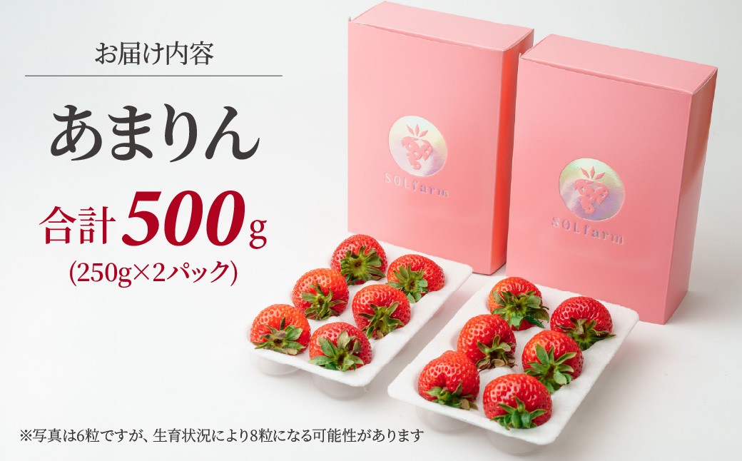 いちご【先行予約】あまりん 2パック 約500g
