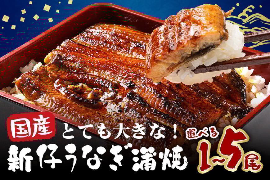 
            国産 とても大きな 新仔うなぎ蒲焼 10000円から 選べる 1尾～5尾 (220～250g×1尾～5尾) 肉厚ジューシー ふっくら柔らか ブランド鰻使用 秘伝のタレ・山椒付き 湯煎で簡単調理 うな丼 うな重 贈答用 ギフト 冷蔵配送 茨城県 潮来市
          