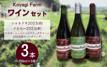 ワイン 3本セット シャルドネ / メルロー / マスカット・ベリー×ブラッククイーン