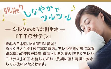 TTCサテン羽毛合掛ふとん ホワイトダック85%(ブルー)【S】_AF-E104-bl_(都城市) 羽毛布団 寝具 抗菌防臭加工 ダウン SEKアレルGプラス シングル MADE IN 都城 合い掛け