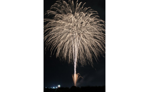 プライベート花火打ち上げ体験 15発！2〜4号玉 プライベート花火 打ち上げ花火 花火 プロポーズ 誕生日 記念日 サプライズ 貸切 特別 演出 選べる 体験型 ギフト プレゼント 貸切イベント 思い出 感動 夜景 貸切花火 高木煙火 岐阜県 大垣市