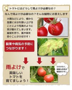 daim 組立かんたん雨よけセット ワイド2.7m 組み立て簡単！ 【棚 畑 雨除け 透明シート セット ビニール ハウス シート 雨除けシート 風よけ 風除け 鳥よけ 鳥よけシート 野菜 栽培】 [