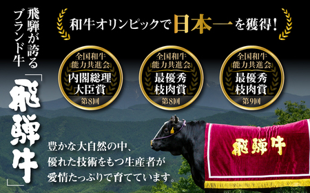 《定期便》全6回 飛騨牛 切り落とし 500g 訳あり 等級 部位お任せ 化粧箱入り すき焼き 鍋 スライス 和牛 牛肉 国産 ブランド和牛 飛騨 白川村 白川郷 わけあり 120000円 [S713