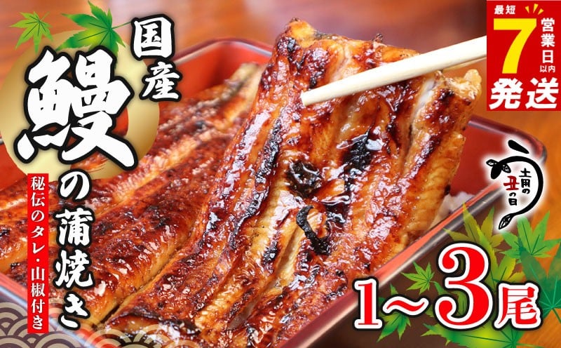 
                  ＼最短7営業日以内発送／ 国産鰻 の 蒲焼き 国産うなぎ 選べる 1尾 / 2尾 / 3尾 山椒 タレ つき 半身 カット 国産 うなぎ ウナギ 鰻 炭火焼 炭火 うなぎ蒲焼き うな重 ひつまぶし 蒲焼 人気 おすすめ 丑の日 贈り物 贈答 ギフト プレゼント 送料無料 千葉県 旭市 川千家 kty
                
