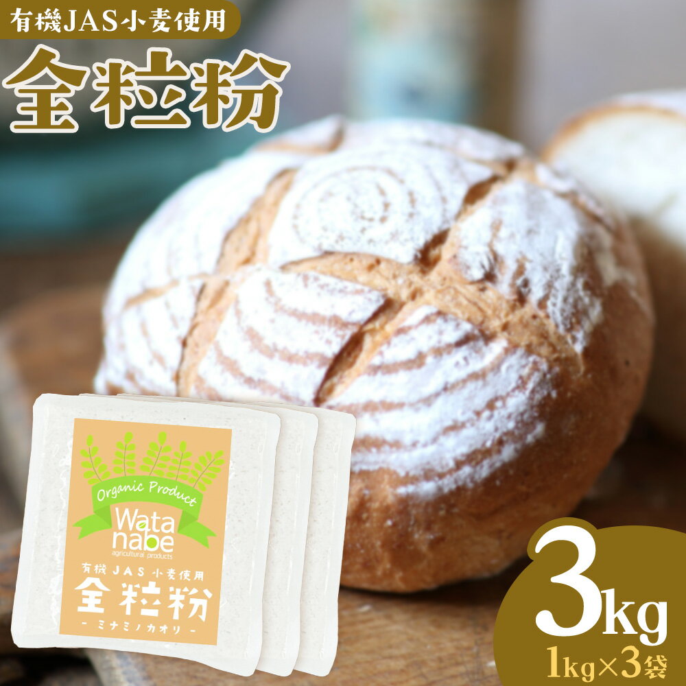 【ふるさと納税】有機JAS小麦使用 全粒粉 合計3kg 1kg×3袋 《30日以内に出荷予定(土日祝除く)》熊本県 菊池市 小麦粉 ミナミノカオリ パンづくり 粉類 国産 九州産 熊本県産 送料無料