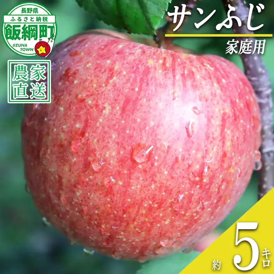 りんご サンふじ 家庭用 5kg 寺島農園 沖縄県への配送不可 2026年11月下旬頃から2027年2月上旬頃まで順次発送予定 令和8年度収穫分 信州 果物 フルーツ リンゴ 林檎 長野 予約 農家直送 長野県 飯綱町 [0770]