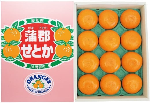 
            【G0003】【期間限定】蒲郡みかん「せとか」約3kg
          