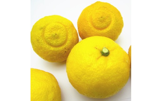 【訳あり・ご家庭用】【人気柑橘】 有田育ちの はるか みかん 約10kg+200g(傷み補償分)【2027年1月下旬～2月下旬に順次発送】【AA-ard076】