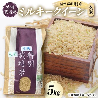 ふるさと納税 高山村 特別栽培米「ミルキークイーン」玄米 5kg