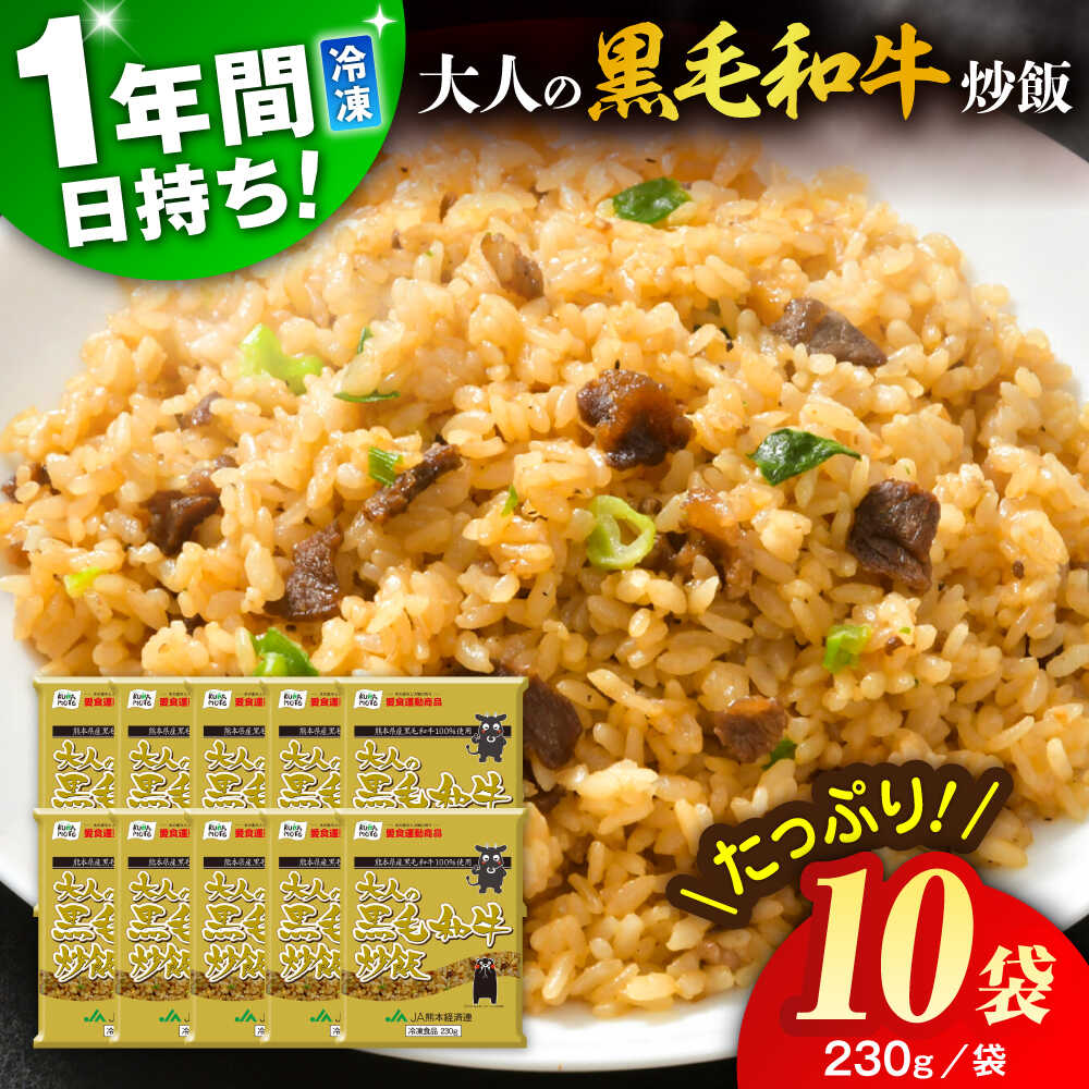 【ふるさと納税】熊本県産 こだわり炒飯 大人の黒毛和牛炒飯 計2.3kg (230g×10) / 冷凍食品 米飯 和牛 チャーハン 黒毛和牛 牛肉 チャーハン 惣菜 冷凍 中華総菜 冷凍チャーハン 九州 熊本県 菊陽町 特産品【ユーユーフーズ株式会社】[BHCS003]