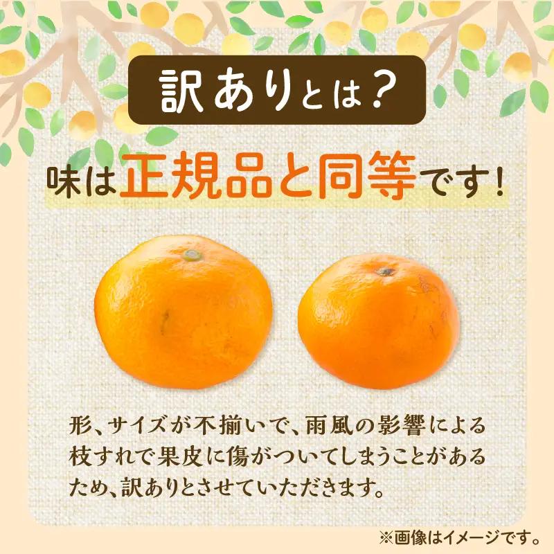 訳あり 温州 みかん 計5kg以上 傷み補償分入り まるひ農園_A102-26