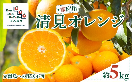 【先行予約】【家庭用】清見オレンジ 約5kg | 柑橘 みかん 果物 フルーツ 愛媛県産 農家直送　※離島への配送不可　※2027年3月中旬より順次発送予定  【ふるさと納税 人気 おすすめ ランキング 柑橘 みかん ミカン フルーツ mikan 果物 オレンジ 清見オレンジ Dan Dan BaTaKe FARM 愛媛県産 愛媛県 伊方町 送料無料】 IKTAU010