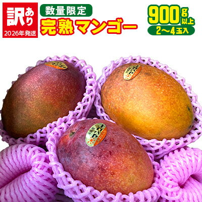 【ふるさと納税】【2026年発送】【訳あり品】共選完熟マンゴー900g以上（2～4玉） 訳アリ マンゴー まんごー 果物 くだもの 果実 お取り寄せ 送料無料 沖縄県産 産地直送 アーウィン 人気 自分用 甘味 県産 ご当地 やんばる ふるさと納税