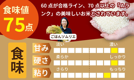 佐賀ブランド米 さがびより （20kg） 肥前糧食 D480-001