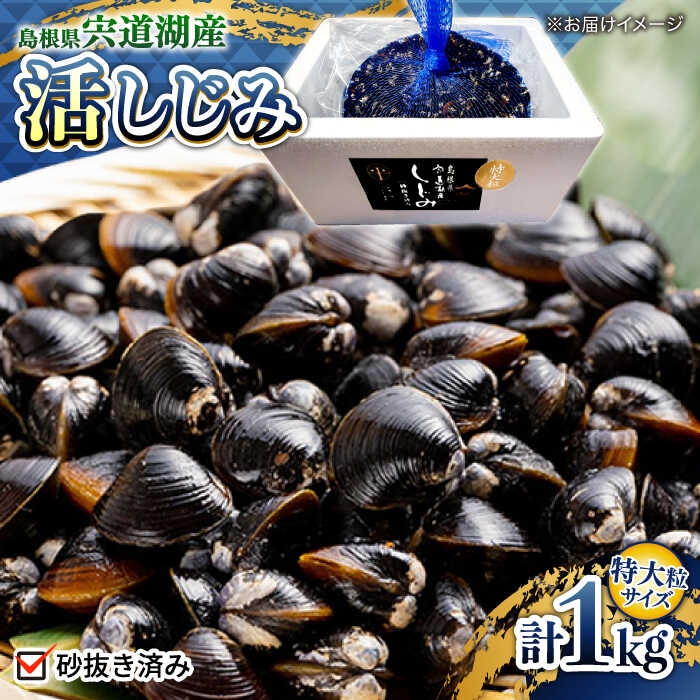 【ふるさと納税】シジミ 新鮮採れたて！宍道湖産活大和しじみ特大粒1kg(砂はき済み) 島根県松江市/平野缶詰有限会社[ALBZ022]｜ しじみ シジミ 蜆 しじみ汁 味噌汁 みそ汁 宍道湖 しんじ湖 砂抜き 砂出し 魚介類 貝 魚貝類 健康 冷凍 朝どれ 新鮮 生