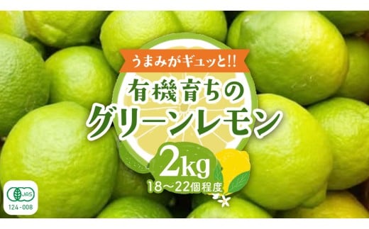 【2026年10月発送開始】 大崎上島産 有機グリーンレモン 2kg （目安18〜22個程度） レモン れもん 檸檬 広島県 グリーン オーガニック JAS認証 有機 柑橘 フルーツ 果物