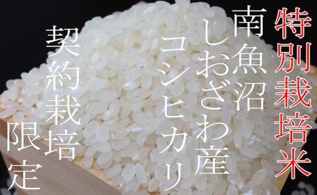 【令和7年産】【定期配送5Kg×6ヶ月】特別栽培 生産者限定  南魚沼しおざわ産コシヒカリ【2025年10月上旬より順次発送予定】