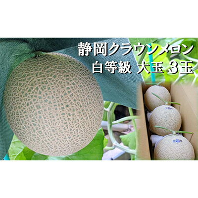 【ふるさと納税】クラウンメロン 並 ( 白等級 ) 大玉 ( 1.4kg前後 ) 3玉入り メロン 果物 くだもの フルーツ マスクメロン デザート 青肉　 袋井市