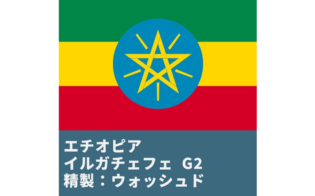 コーヒー焙煎豆エチオピアイルガチェフェ（挽き）