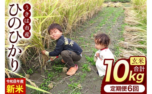 【ふるさと納税】令和8年度産 新米 玄米 ひのひかり 10kg 6ヶ月定期便 自然栽培 農薬不使用 米 お米 国産 ご飯 ごはん こめ コメ ヒノヒカリ 健康 食物繊維 腸活 ヘルシー 自然食品 ヴィーガン 家庭用 送料無料 福岡 お取り寄せ うきは市 人気 返礼品 ぶんぶんファーム