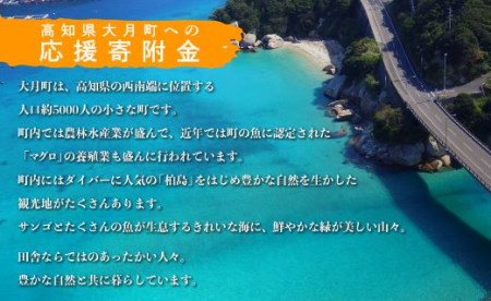 高知県大月町への応援寄付金【返礼品なし】