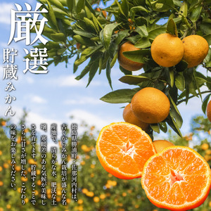 みかん 訳あり 4.2kg みかん