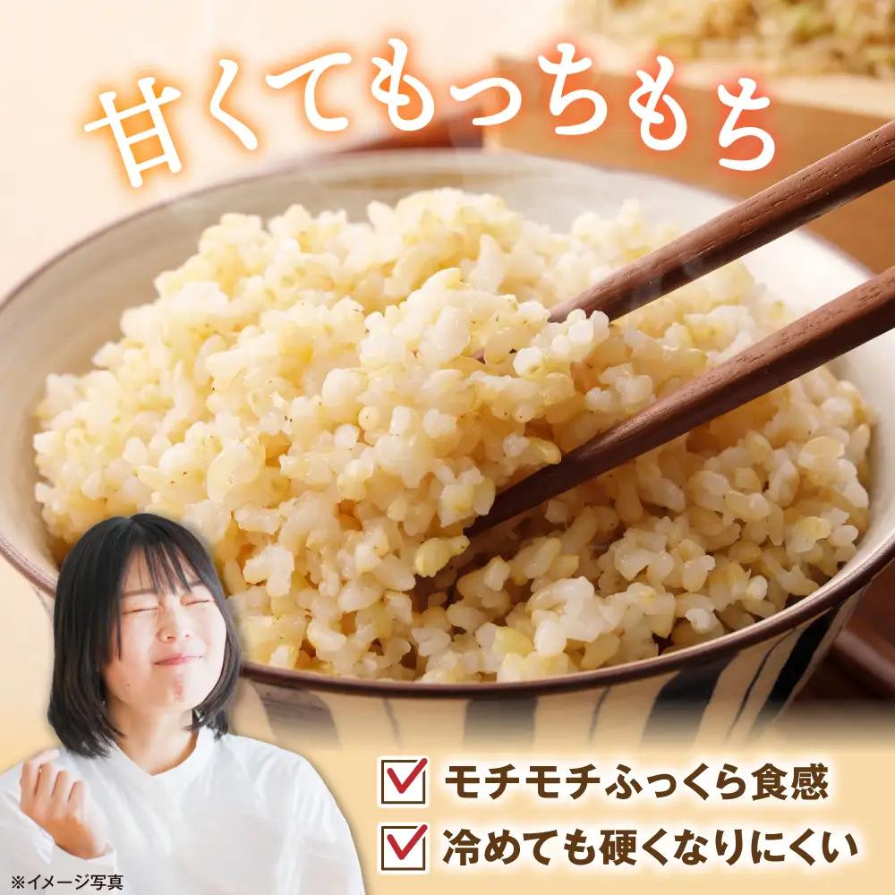玄米【スピード発送】ミルキークイーン 玄米5kg[AQAK009]
