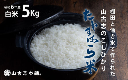G3-7K05旧山古志村のこしひかり「たねすはら米」白米5kg（新潟県産コシヒカリ）