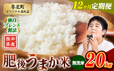【12ヶ月定期便】肥後うまか米 熊本県産ブレンド米約20kg(無洗米) 熊本県産 ふるさと納税 無洗米 白米 精米 米 こめ コメ お米 おこめ《申込み翌月から発送》