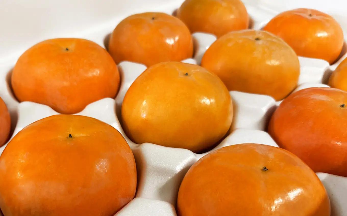 富有柿 L 14個セット 化粧箱 1段 | 果物 産地直送 国産 自宅用 ギフト 種有り 奈良県 五條市