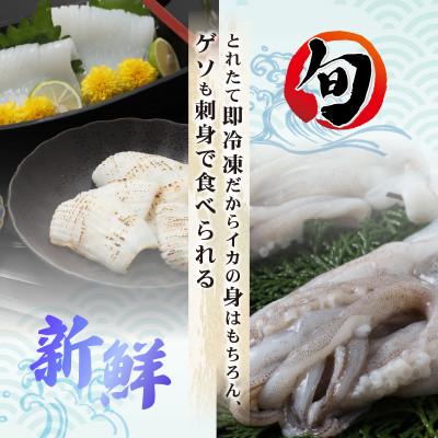 ふるさと納税 美浜町 新鮮で便利!旬のアオリイカ　刺身用開き5枚　約800g(冷凍) |  | 01