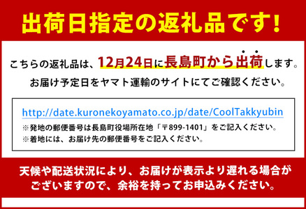 【期間限定】＼年末発送 先行予約／＜数量限定＞【2026年12月24日発送】『旅サラダ』で紹介ぶりの王様「 鰤王 」 フィレ 半身 (約1.2kg～・フィレ1枚) 産地直送 新鮮 旨味が抜群の 長島町