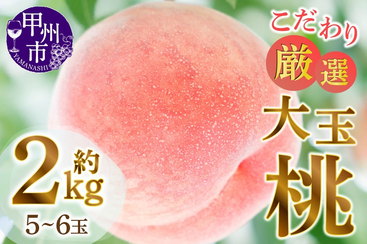 B-481．【2022年先行予約】甲州市産厳選旬の桃大玉5～6ヶ入り