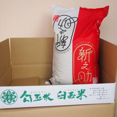 ふるさと納税 糸魚川市 【毎月定期便】新潟県産 新之助 5kg全3回 |  | 02